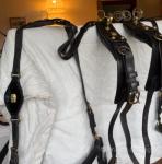 Pairs Harness