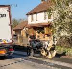 Peter, 5 year old 12.2hh traditional cob gelding. Peter is absolutely bombproof in the heaviest of traffic is not fussed by anything. He's handled daily and driven by children in 2 and 4 wheel vehicles. 