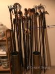 Walking Sticks
