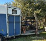 Ifor Williams Horse Trailer