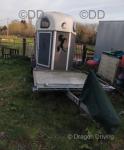 Horse Trailer with Carriage Platform