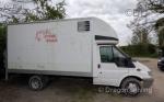 Ford Horsebox
