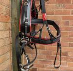 Shetland Mini Pair Harness by Double Horseshoe