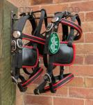 Shetland Mini Pair Harness by Double Horseshoe