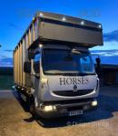 2012 Renault Mudlim Horsebox