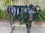 Ideal Harness