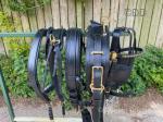 Ideal Harness