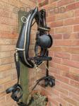 Giddings Harness