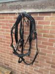 Giddings Harness