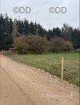 Plots, Ramsey Cambridgeshire