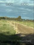 Plots, Ramsey Cambridgeshire