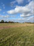 Plots, Ramsey Cambridgeshire
