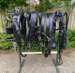 Harness