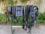 Tedex Harness 