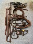 Champion & Wilton Harness