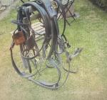 Harness by John McDonald