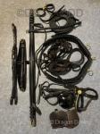 Freedman Harness