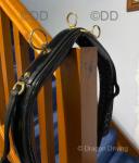 Freedman Harness