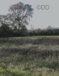 3 Acres Land, Shropshire
