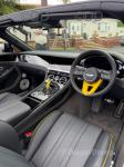 2026 Bentley Continental GTC