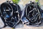 Tedex Shetland Pairs Harness