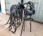 Harness