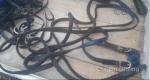 Huskinson Reins