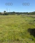 Plot, Kent