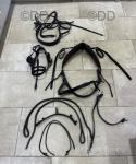 Harness