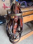 Harness