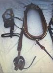 Harness
