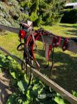 Harness