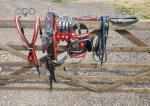 Noddy Cart & Rene Schoop Harness