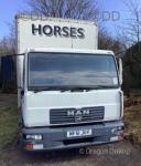 51 reg MAN Horsebox 