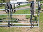 Plas Equestrian Harness