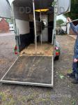 Ifor Williams 505 Horse Trailer 