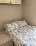 Mobile Home