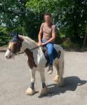 13.1hh Riding Gelding & Yearling Welsh Section A Colt