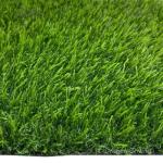 Artificial Grass