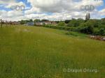 Land for sale, Ashfield