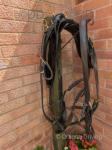 Huskisson Harness