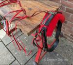 Top Mark Harness