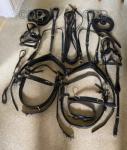 Harness