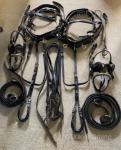Harness