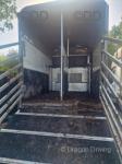 59 reg Ford Transit Horsebox 