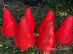 Cones