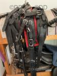 Harness