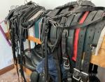 Harness