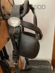 Harness