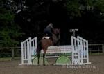 16hh Riding Mare